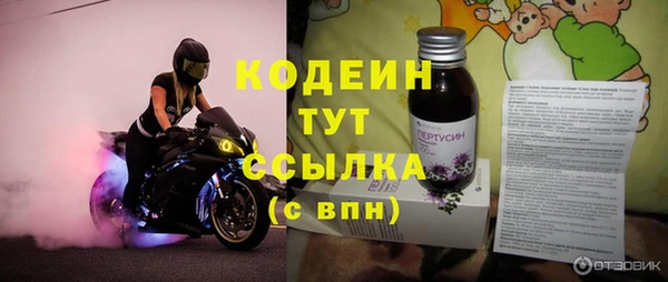 амф Алексин