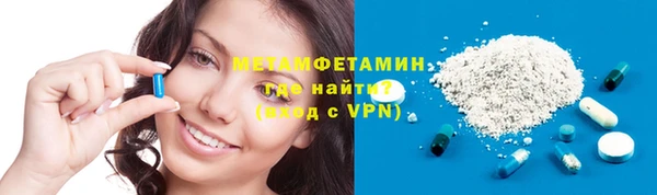 ГАЛЛЮЦИНОГЕННЫЕ ГРИБЫ Аркадак