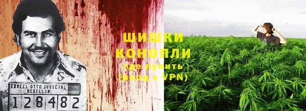 прущие грибы Арсеньев