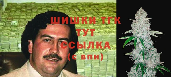 амф Алексин