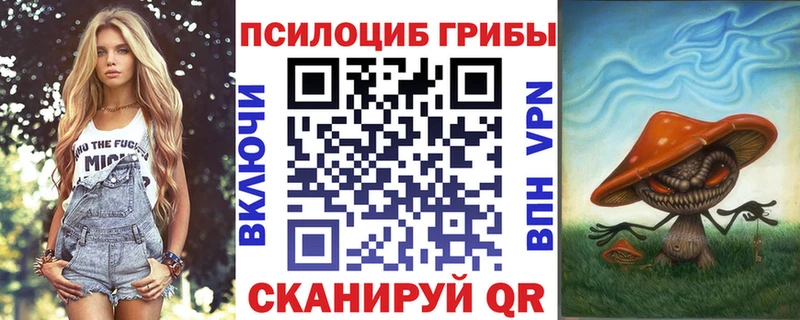 хочу наркоту  Калач  Галлюциногенные грибы ЛСД 